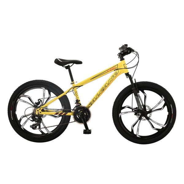 39. LION 24 MD 13″ MONO DAĞ BISIKLETI